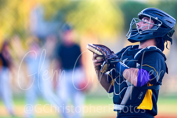 Mens Senior Baseball League - Naples Spring 2021