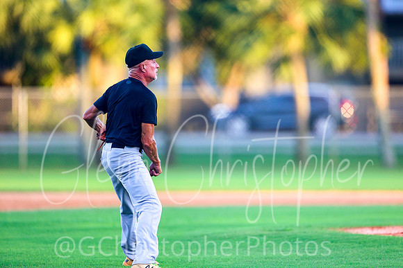 Mens Senior Baseball League - Naples Spring 2021