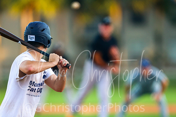 Mens Senior Baseball League - Naples Spring 2021