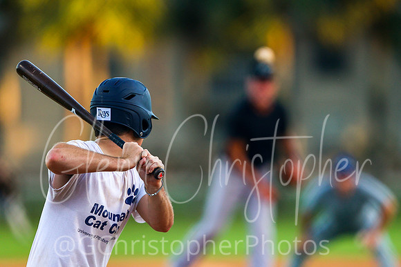 Mens Senior Baseball League - Naples Spring 2021