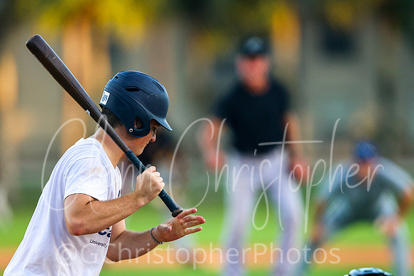 Mens Senior Baseball League - Naples Spring 2021