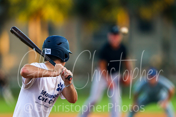 Mens Senior Baseball League - Naples Spring 2021