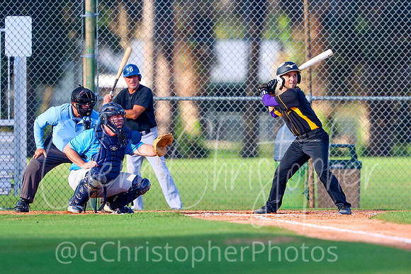 Mens Senior Baseball League - Naples Spring 2021