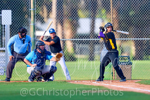 Mens Senior Baseball League - Naples Spring 2021