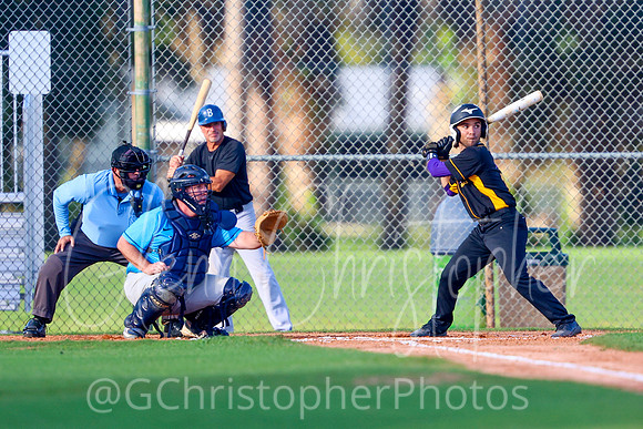 Mens Senior Baseball League - Naples Spring 2021