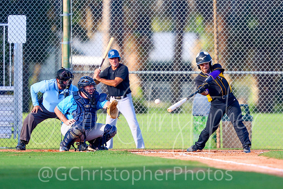 Mens Senior Baseball League - Naples Spring 2021