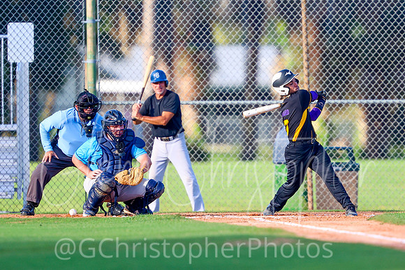 Mens Senior Baseball League - Naples Spring 2021