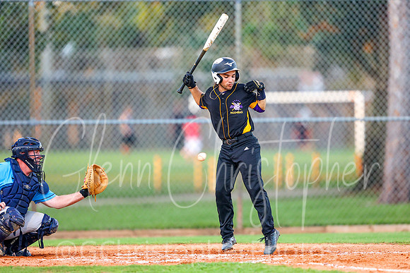 Mens Senior Baseball League - Naples Spring 2021
