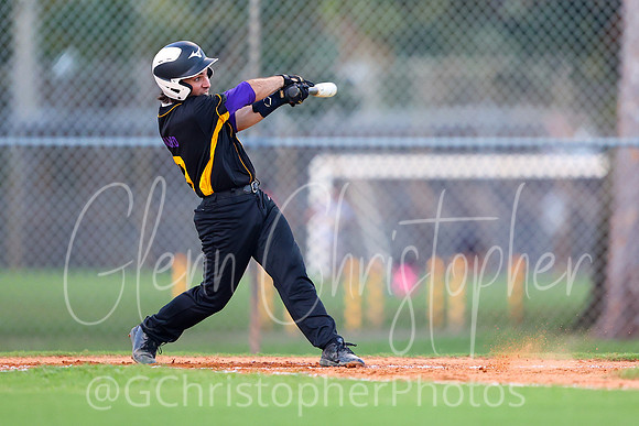 Mens Senior Baseball League - Naples Spring 2021