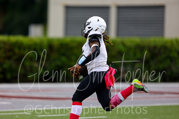FBA Lions Varsity Football - 2023