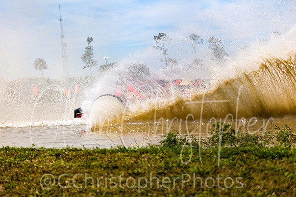 Swamp Buggy Races 2023 - 2024