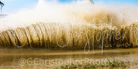 Swamp Buggy Races 2023 - 2024