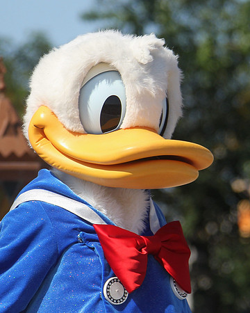 DISNEY