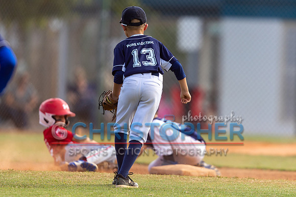 AAA Championship round - Cardinals vs Rays 5-12-2021