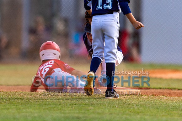 AAA Championship round - Cardinals vs Rays 5-12-2021