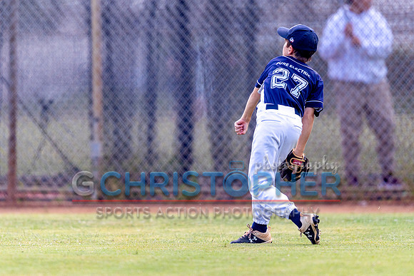 AAA Championship round - Cardinals vs Rays 5-12-2021