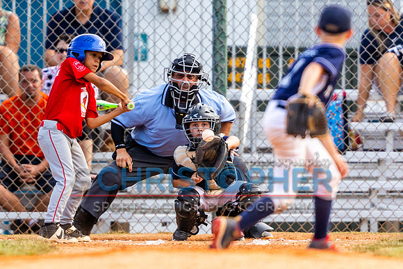 AAA Championship round - Cardinals vs Rays 5-12-2021