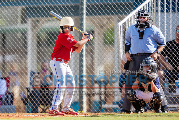 AAA Championship round - Cardinals vs Rays 5-14-2021