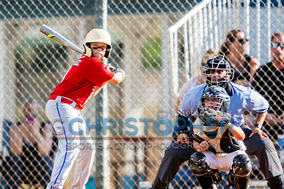 AAA Championship round - Cardinals vs Rays 5-14-2021