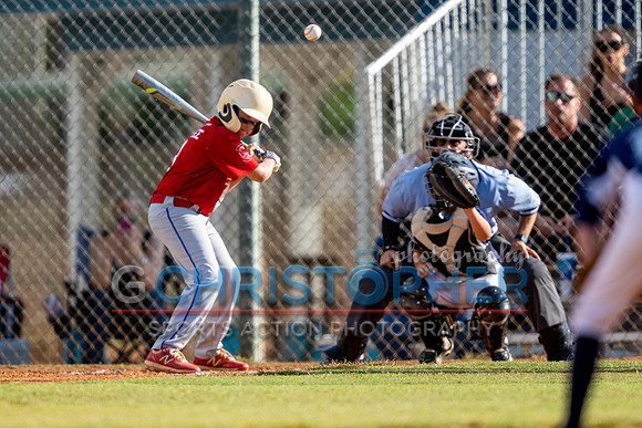 AAA Championship round - Cardinals vs Rays 5-14-2021