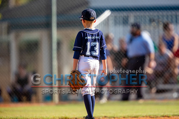 AAA Championship round - Cardinals vs Rays 5-14-2021