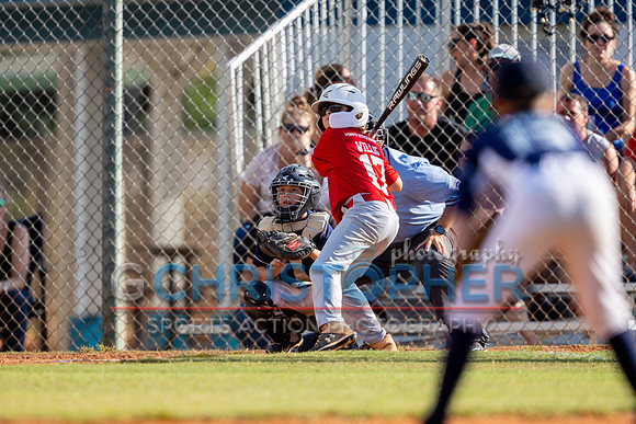 AAA Championship round - Cardinals vs Rays 5-14-2021