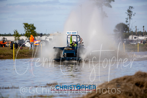 Swamp Buggy Races 2023 - 2024