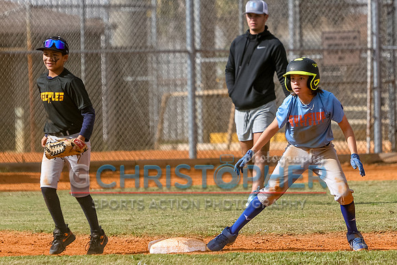 Gulfside Baseball - 2022