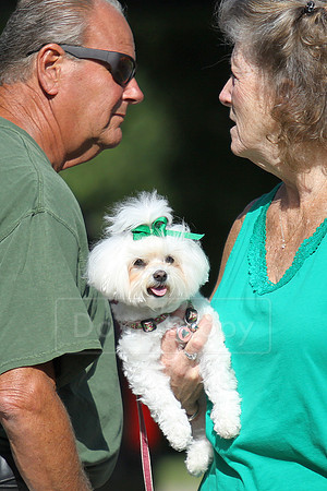St. Patrick's Day parade along 5th Ave S. in Naples, FL