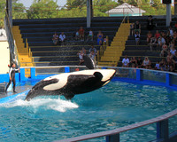 Miami Seaquarium July 2012