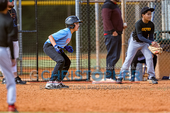 Gulfside Baseball - 2022